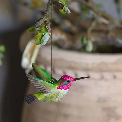 Flyvende kolibri - grøn Wildlife Garden